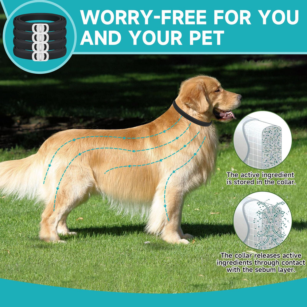 KYGNE adjustable dog collar on a growing dog, fits multiple sizes