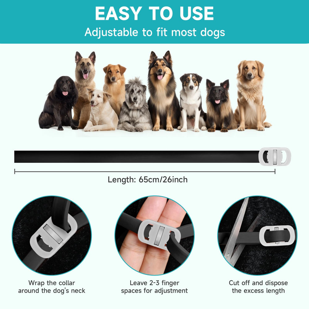 KYGNE soft-design collar, gentle on skin for daily wear