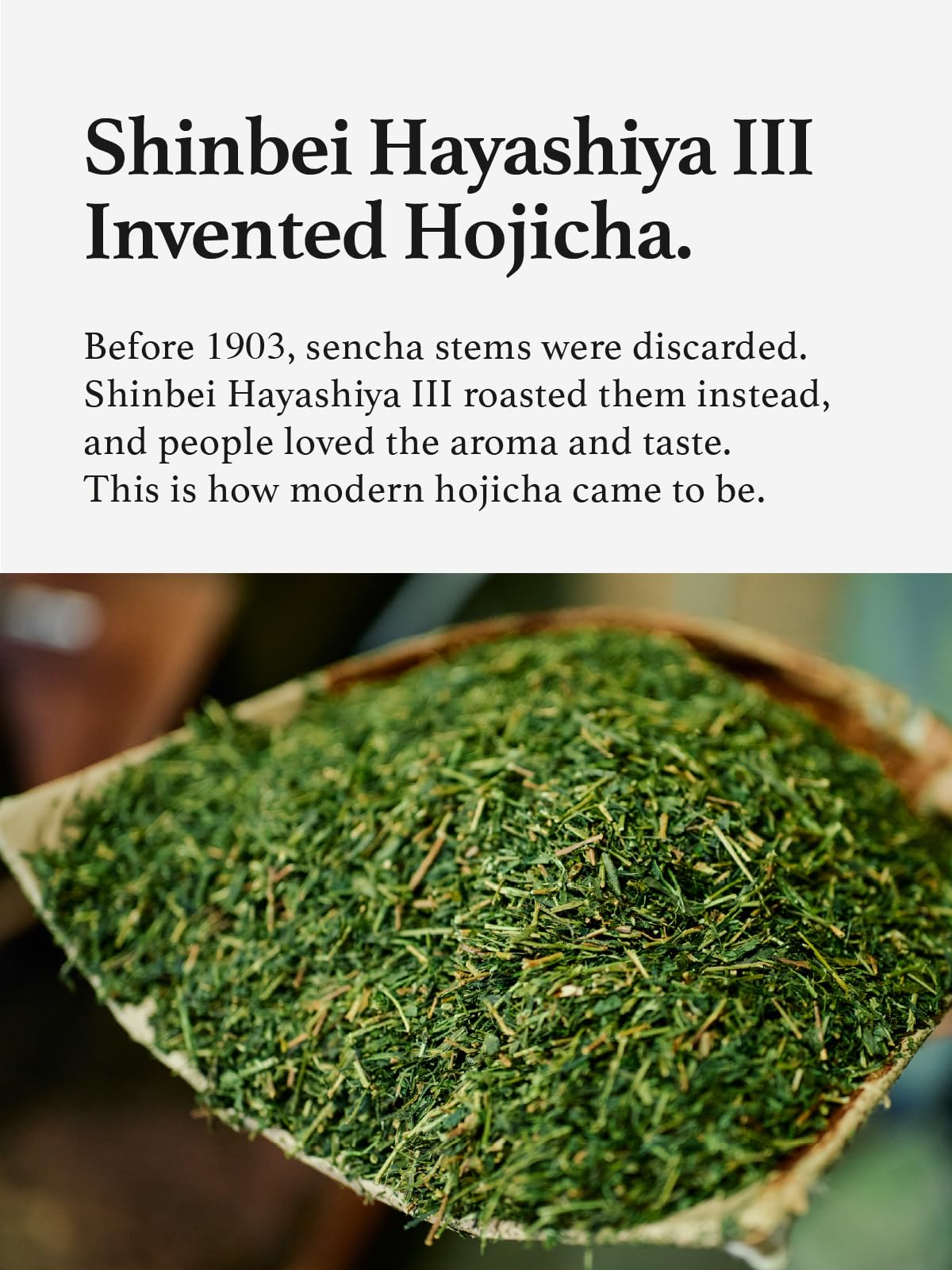 KYOHAYASHIYA Hojicha brew cup showcases smooth roasted flavor in seconds.