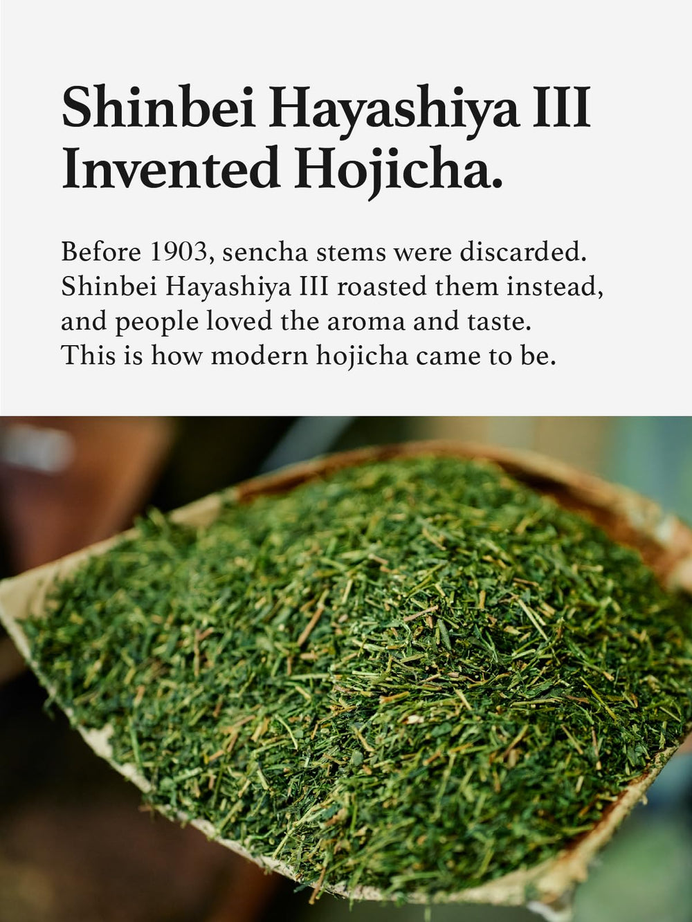 KYOHAYASHIYA Hojicha brew cup showcases smooth roasted flavor in seconds.