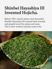 KYOHAYASHIYA Hojicha brew cup showcases smooth roasted flavor in seconds.