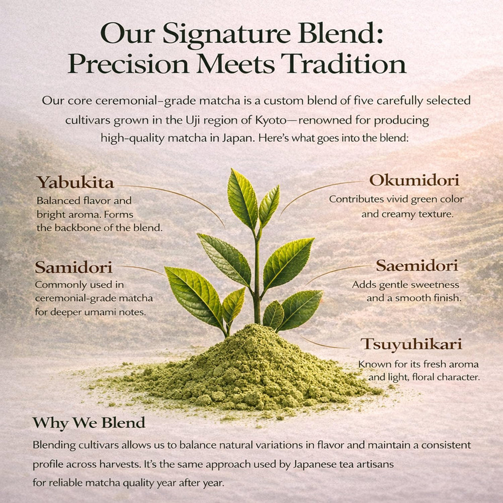 Kyoto Dew Matcha measuring scoop for precise, perfect servings.