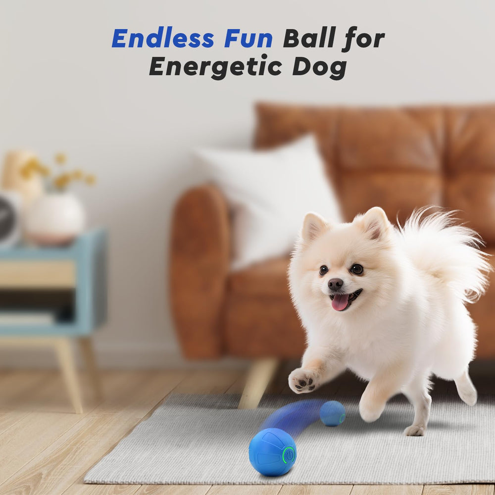 Kytujoy automatic bouncing ball for small dogs encourages active sessions.
