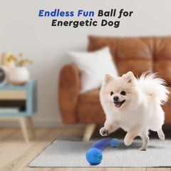 Kytujoy automatic bouncing ball for small dogs encourages active sessions.