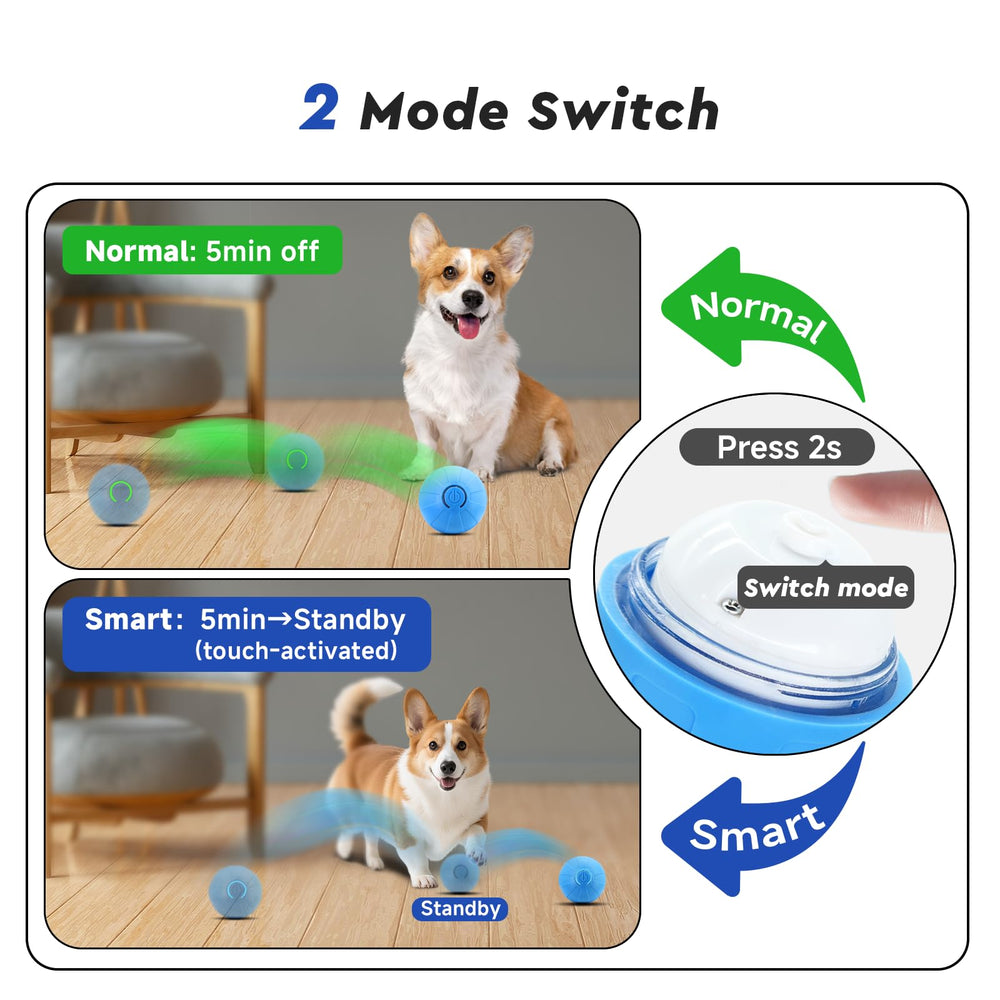 Kytujoy puppy enrichment ball keeps small dogs busy indoors.
