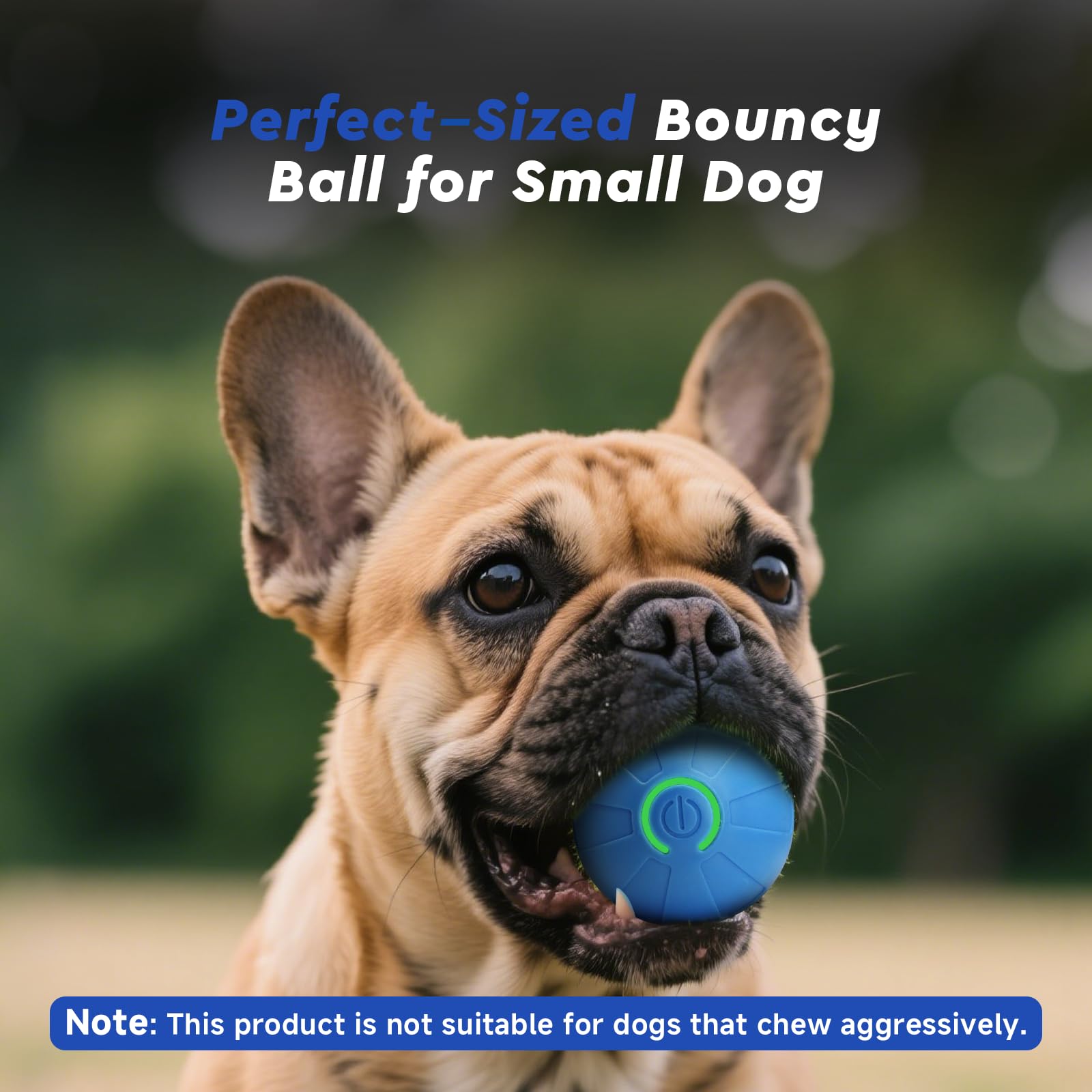 Kytujoy sky blue dog toy; touch-activated fun stimulates curiosity.