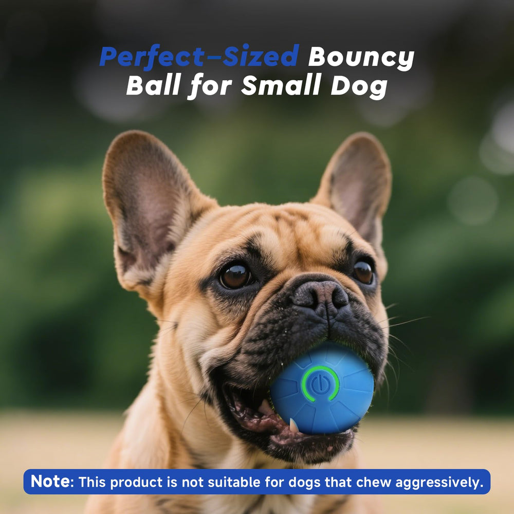 Kytujoy sky blue dog toy; touch-activated fun stimulates curiosity.