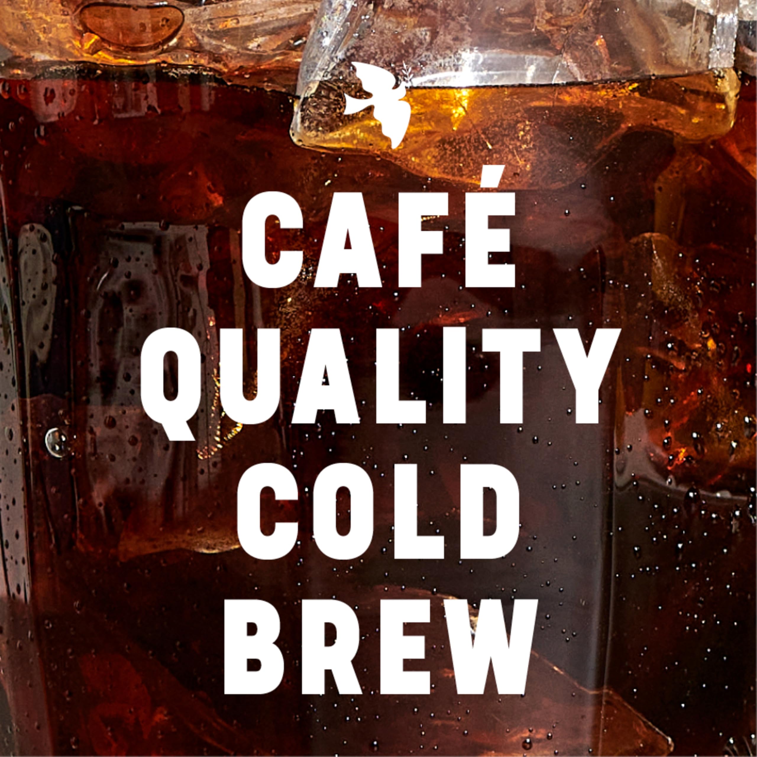 La Colombe Pure Black 9 oz can in hand for on-the-go caffeine.