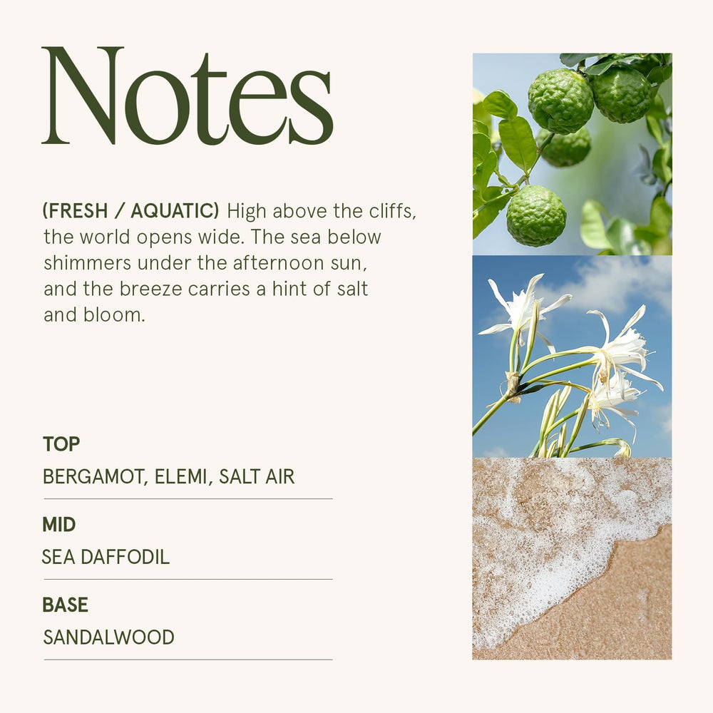 LA JOLIE MUSE Santorini Salt Air candle reusable glass jar supports sustainable gifting.