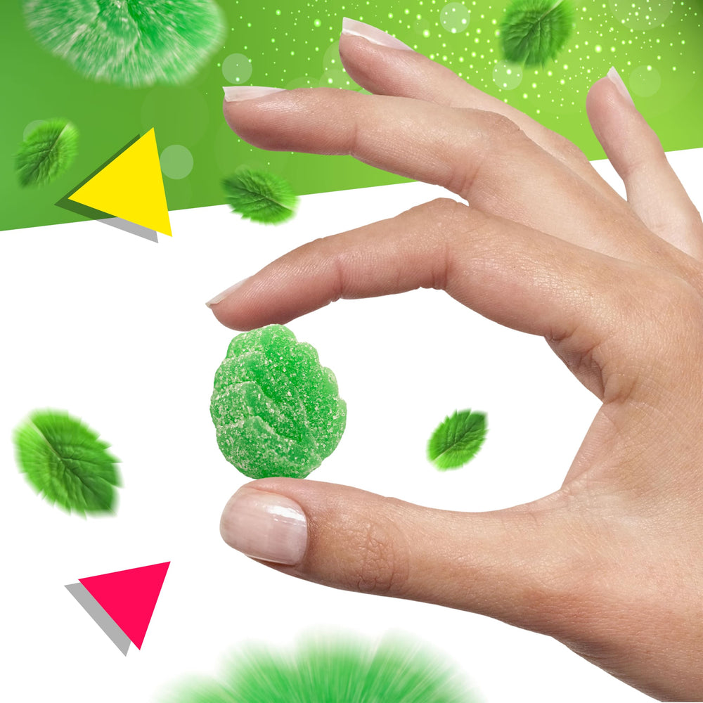 Close-up of LAETAFOOD Spearmint Leaves shows soft, chewy texture.
