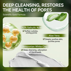 Result snapshot showing refined pores after Lanbena 2.0 use.