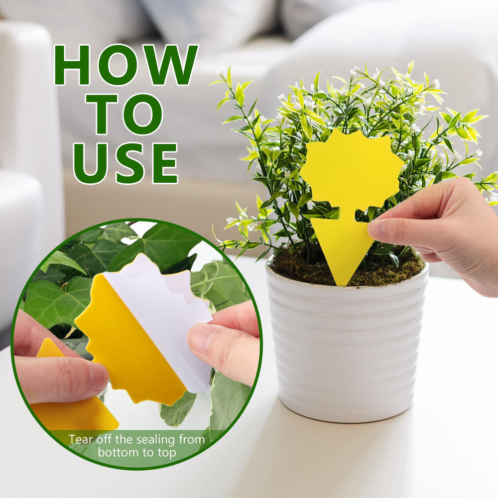 Landisun chemical-free traps provide safe pest control around kids