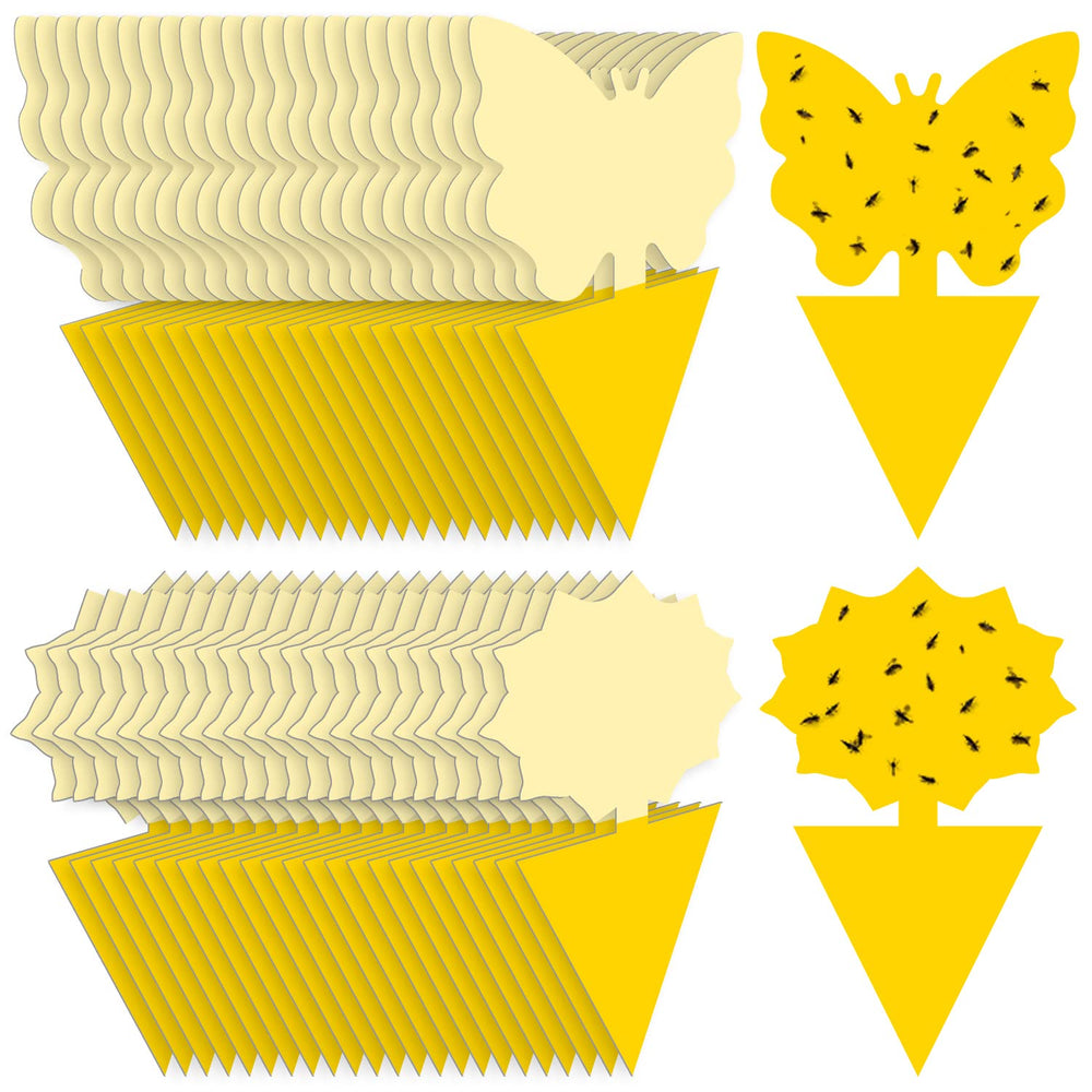 Landisun fruit fly traps in yellow attract pests quickly around houseplants
