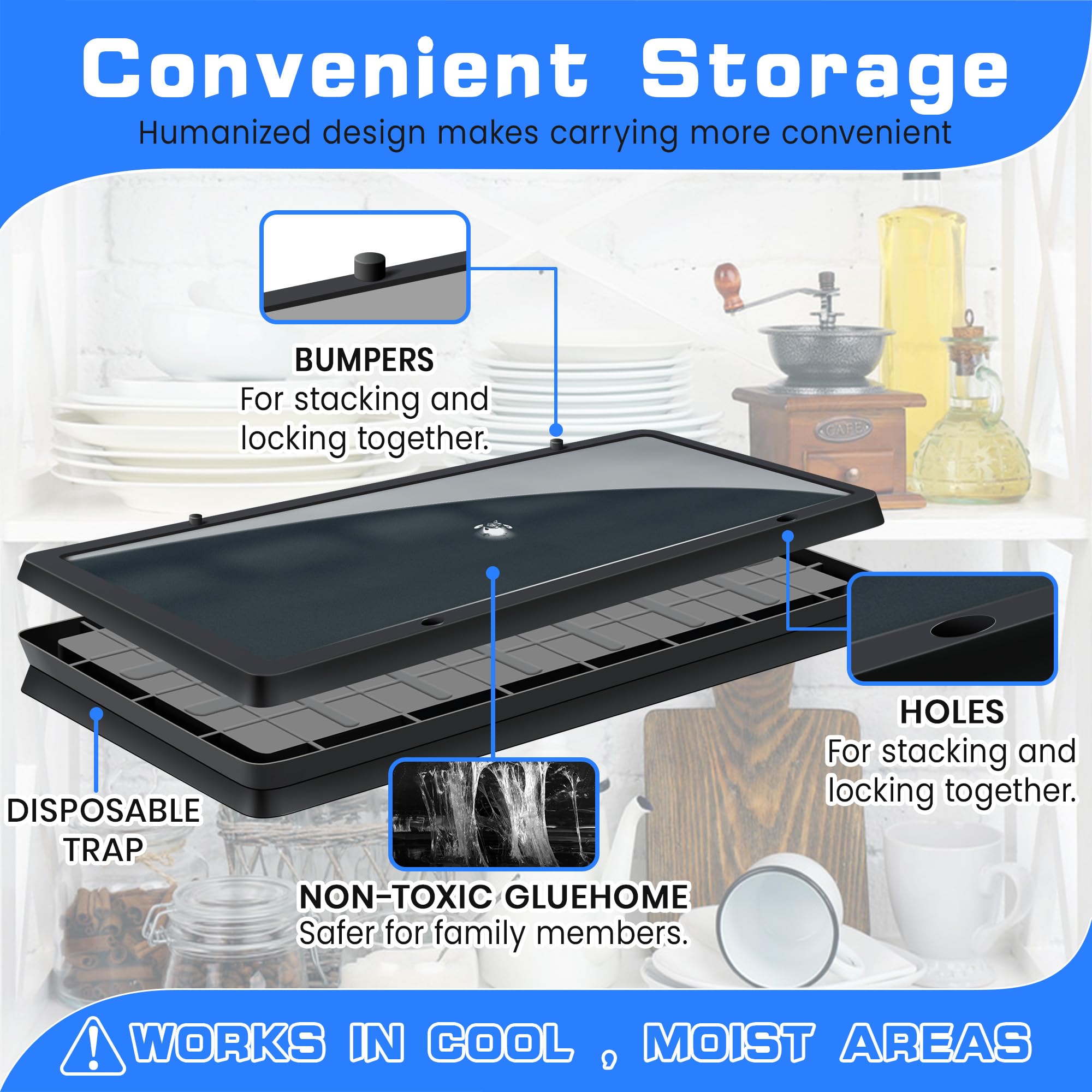 Landisun indoor glue traps suited for basements and kitchens.