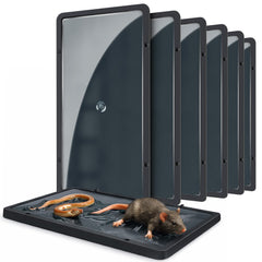 Landisun glue trap for mice and rats indoors, six-pack for versatile placement.