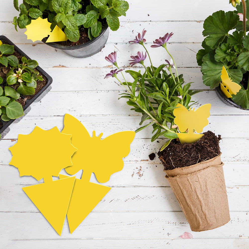 Landisun long-lasting traps remain effective for weeks