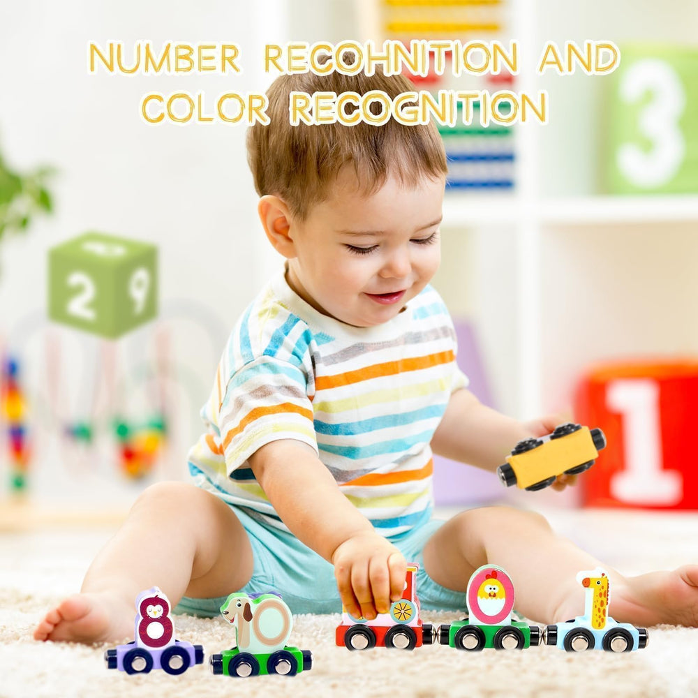 Lauon polished surface and safe magnets support worry-free exploration.