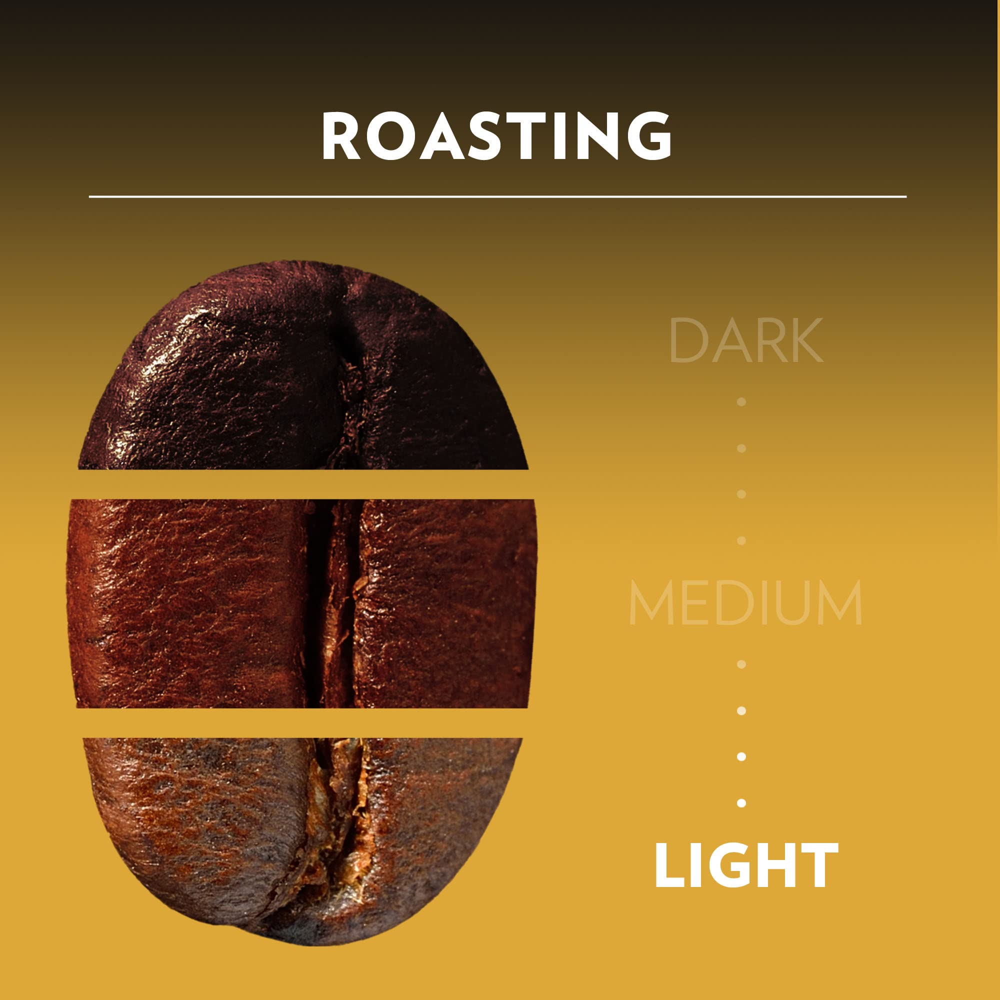 Bright floral and fruity notes hint at a light roast profile