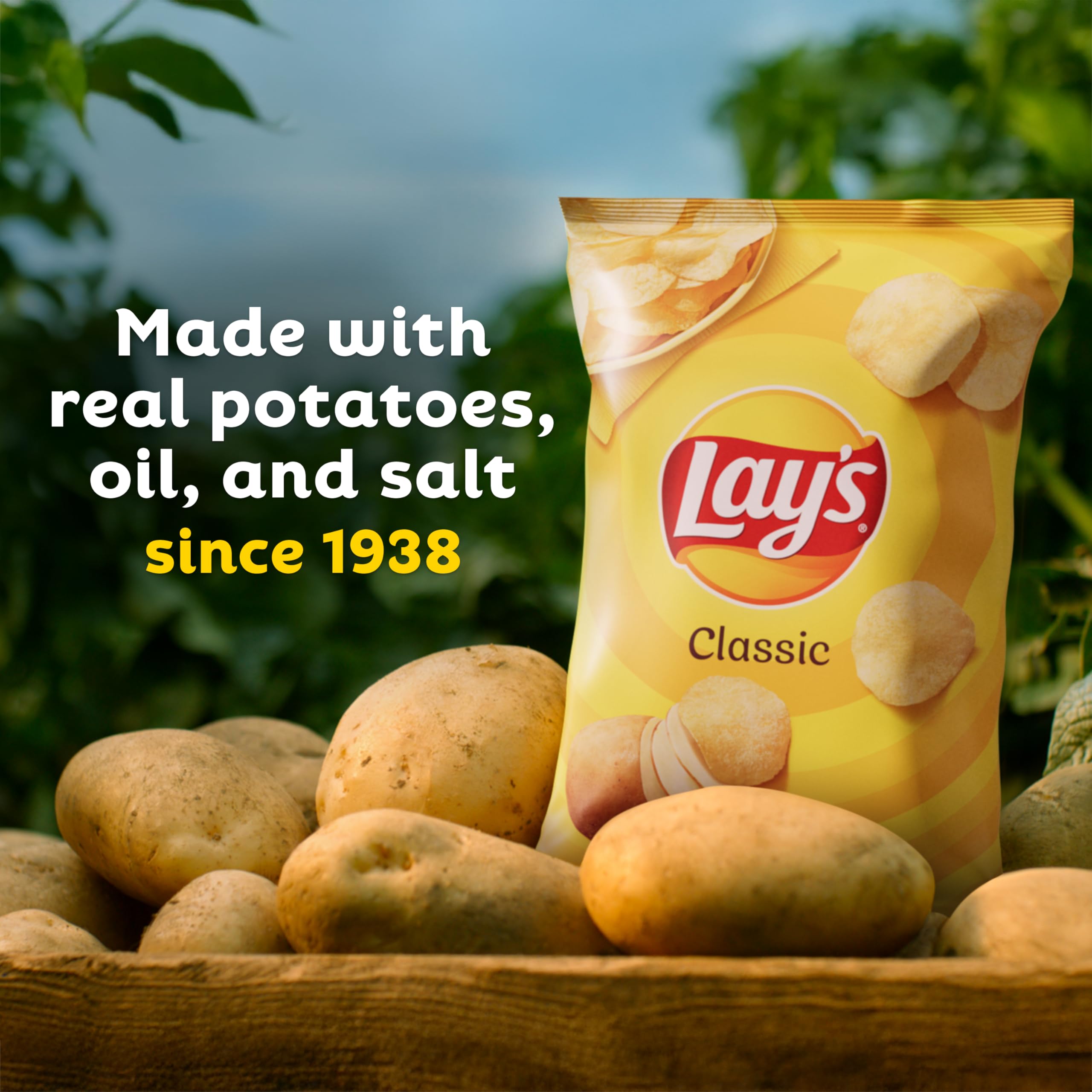 Lay's chip crisp closeup showing satisfying crunch and light seasoning.