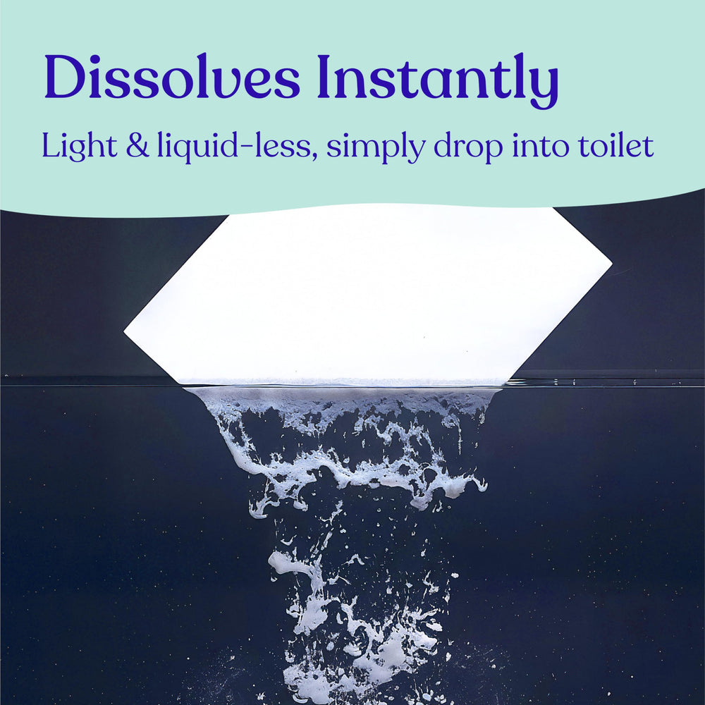  Lazy Coconuts toilet bowl shows a clean, bright finish after use.