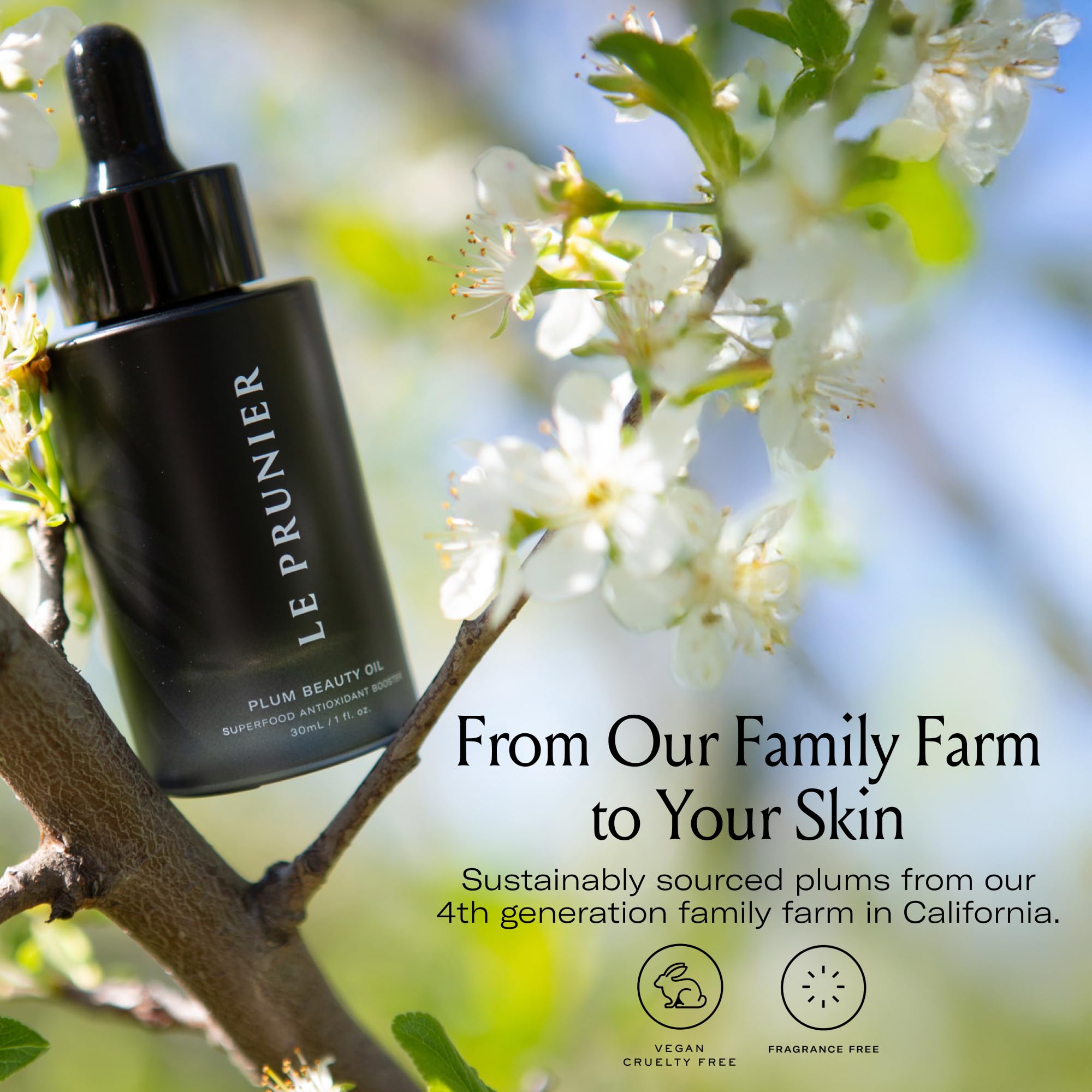 Hair ends treated with Plum Beauty Oil for smoother shine