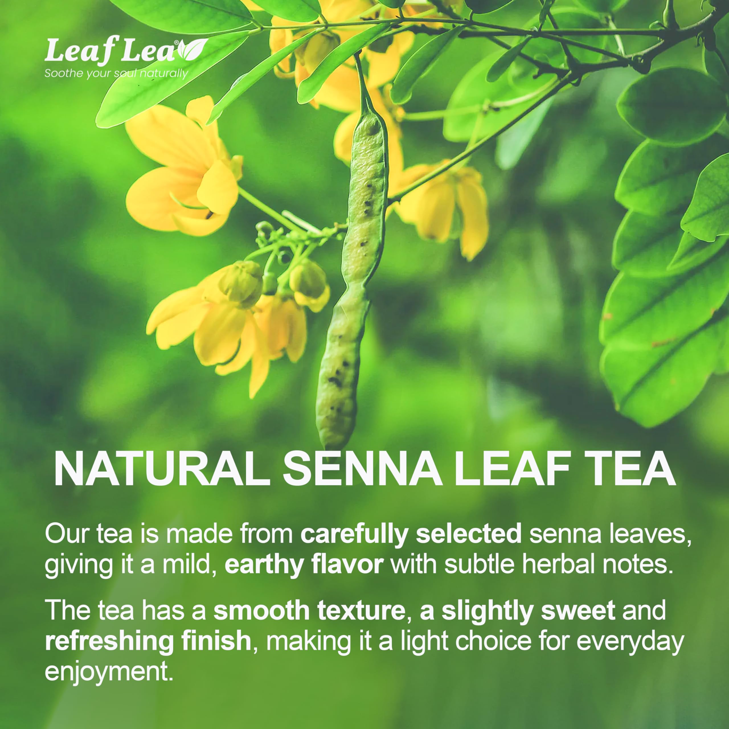 LeafLea 40 Senna tea brew cup with pale golden infusion