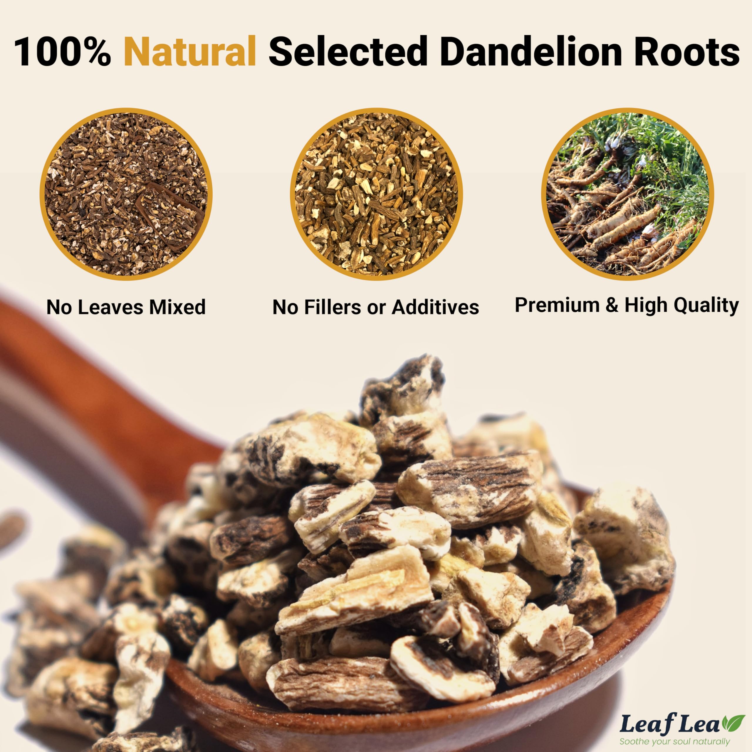 LeafLea Dandelion Root Tea Bags open-box display signals quality and convenience.