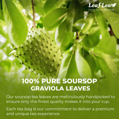 LeafLea dried graviola leaves ready to steep into caffeine-free herbal tea.
