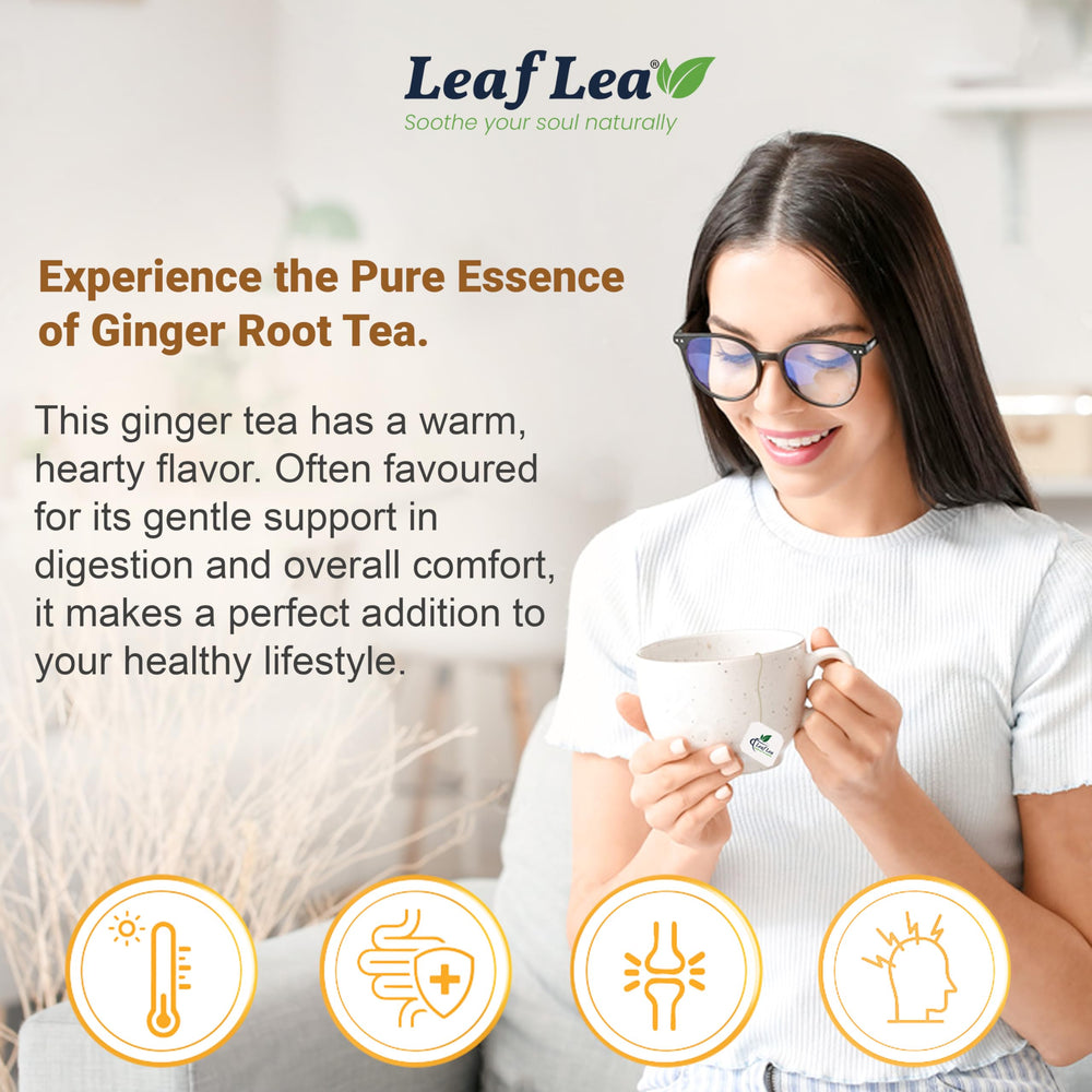 LeafLea Ginger Tea Bags neatly packaged on a kitchen shelf.