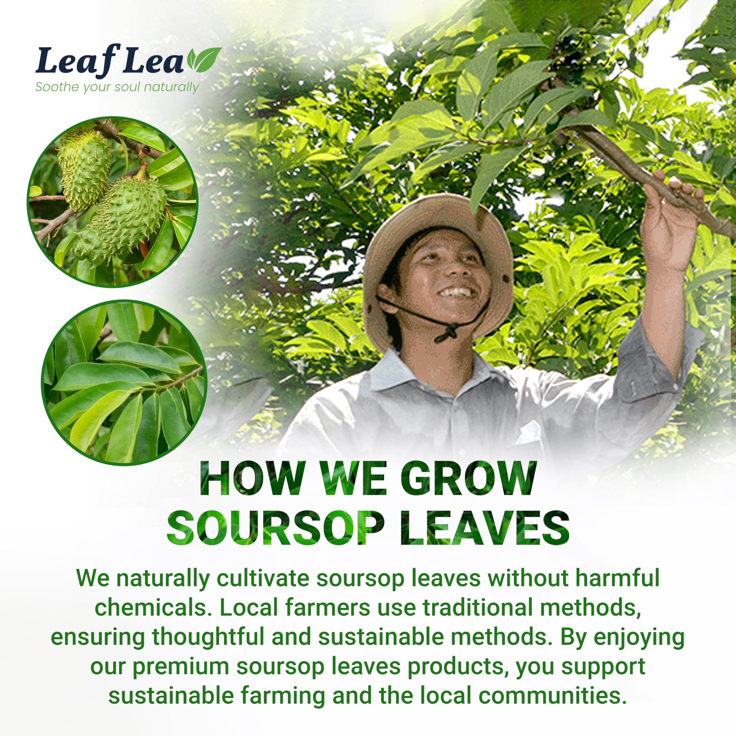 LeafLea individual sachets keep freshness for travel-friendly use.