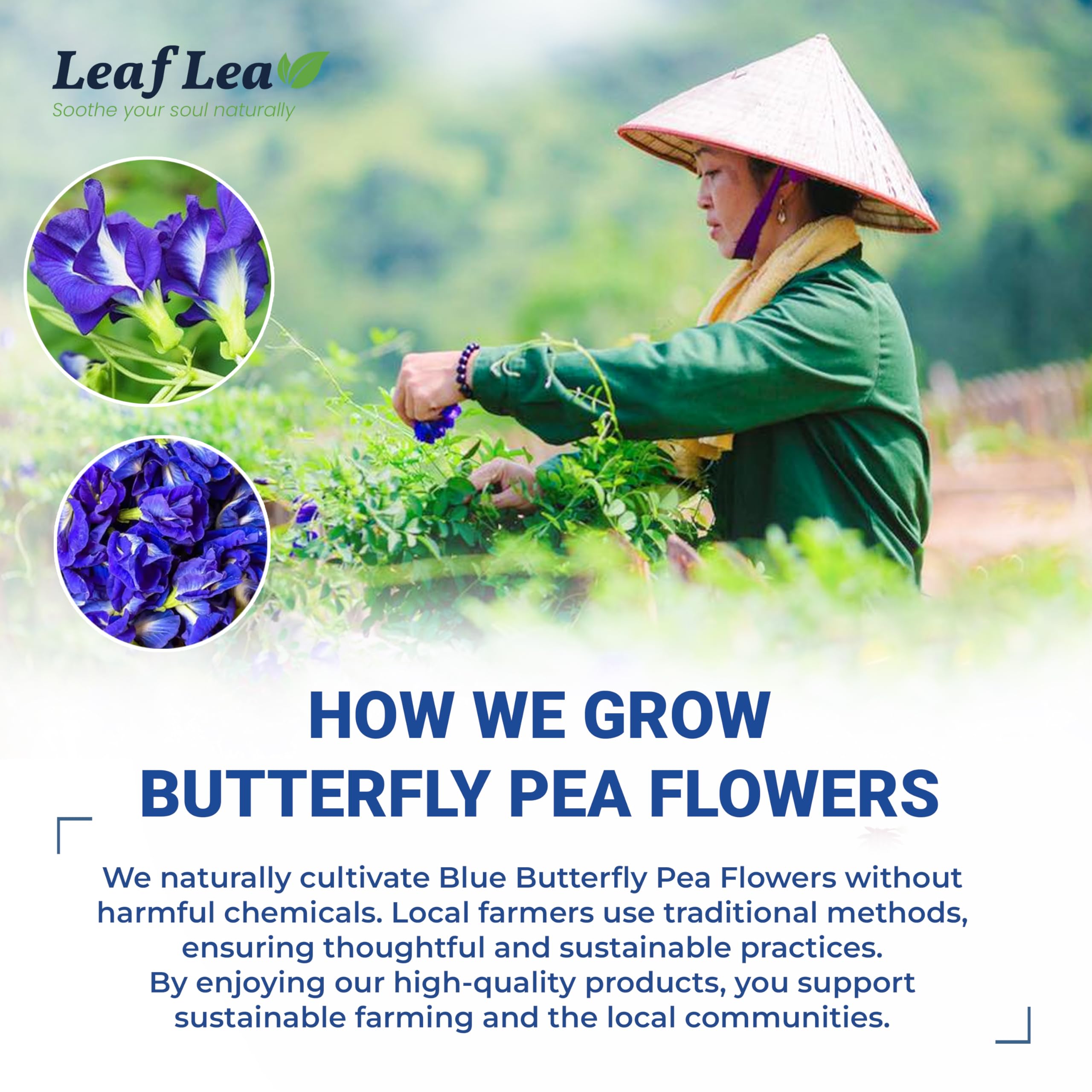 LeafLea tea bag makes more than a liter of colorful infusion.