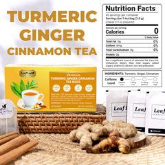 LeafLea tea bags closeup showing fresh turmeric, ginger and cinnamon