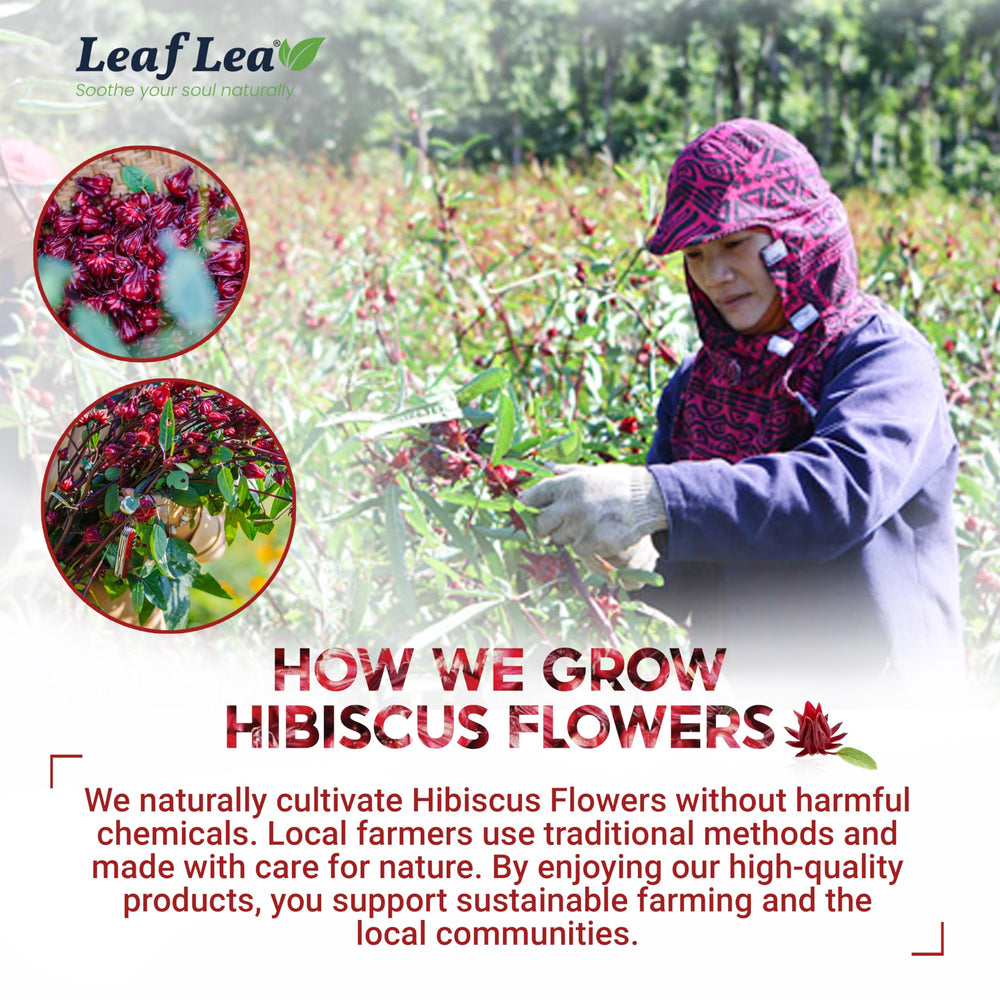 LeafLea packaging emphasizing vegan and gluten-free attributes
