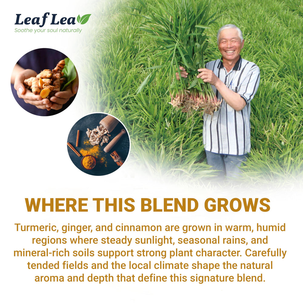 LeafLea vegan gluten-free no-sugar label supports inclusive diets