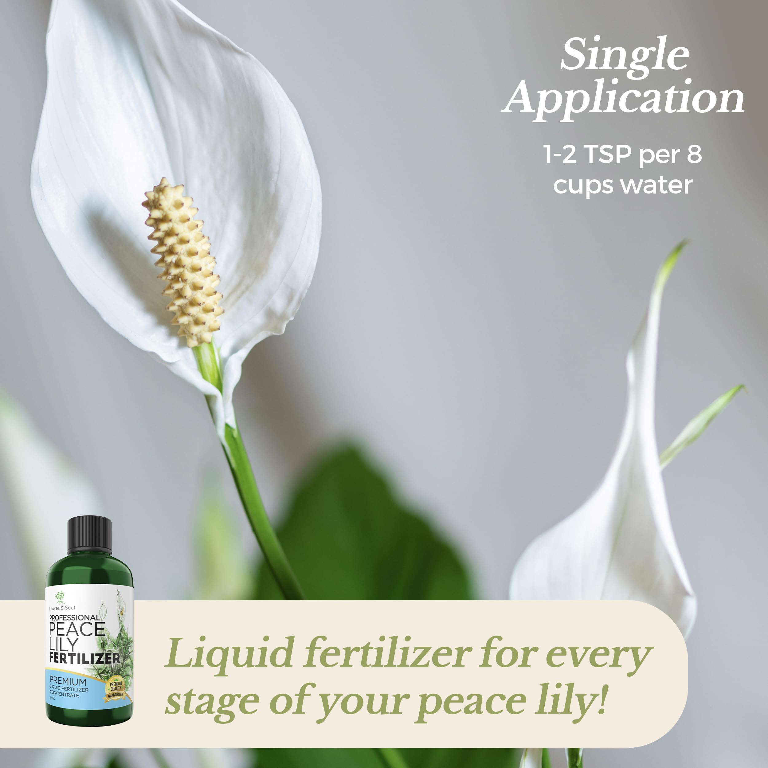 Peace lilies thriving with a balanced 3-1-2 nutrient blend.