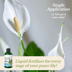 Peace lilies thriving with a balanced 3-1-2 nutrient blend.