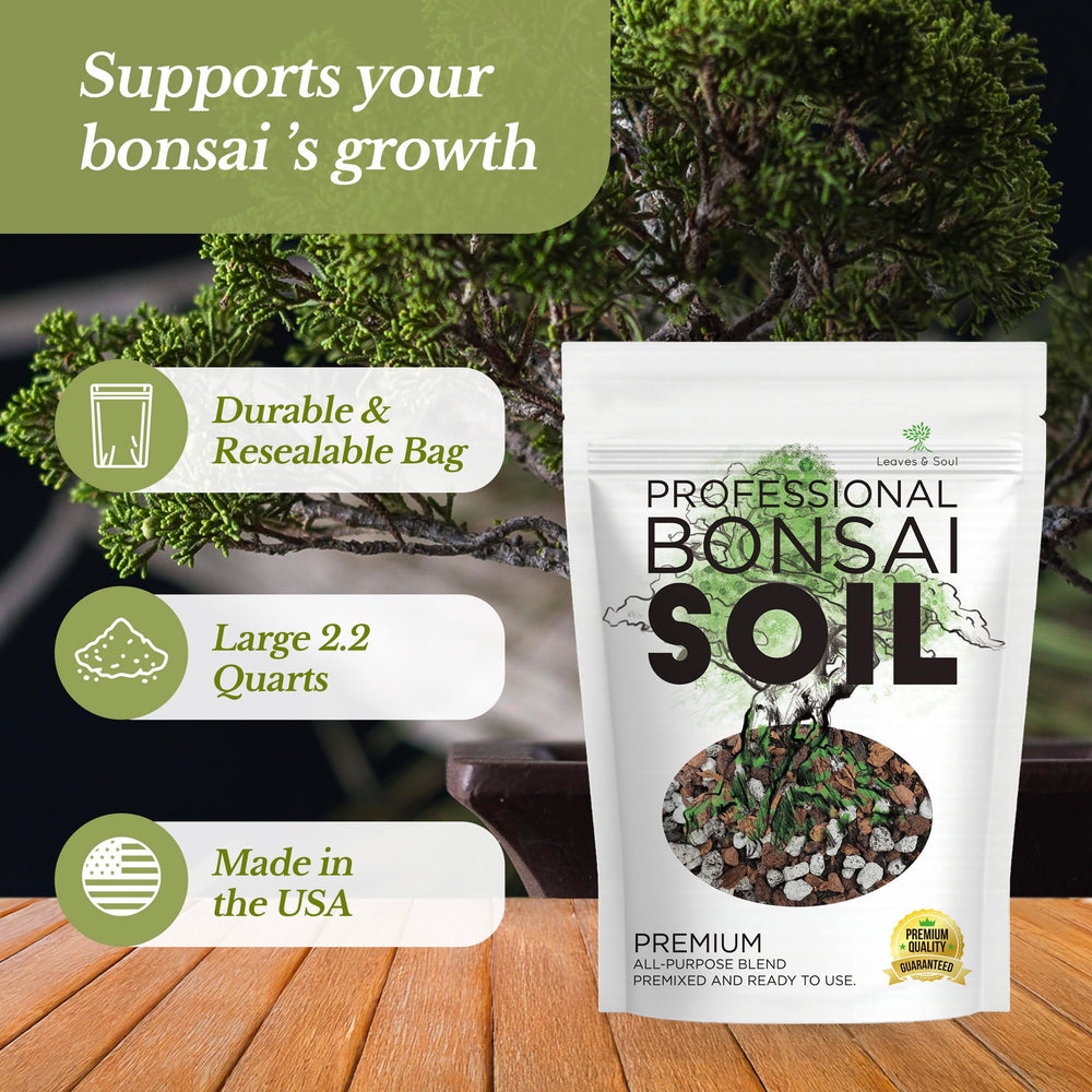 Leaves and Soul closeup lava rock texture enhancing aeration and moisture balance.