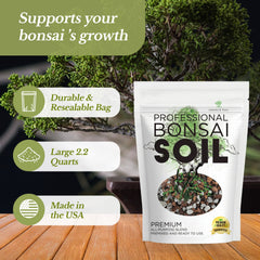 Leaves and Soul closeup lava rock texture enhancing aeration and moisture balance.