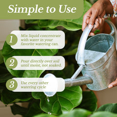 Leaves and Soul pouring application on seedlings to boost vitality.