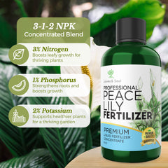 Leaves and Soul mixing with water for easy, ready-to-use plant feed.