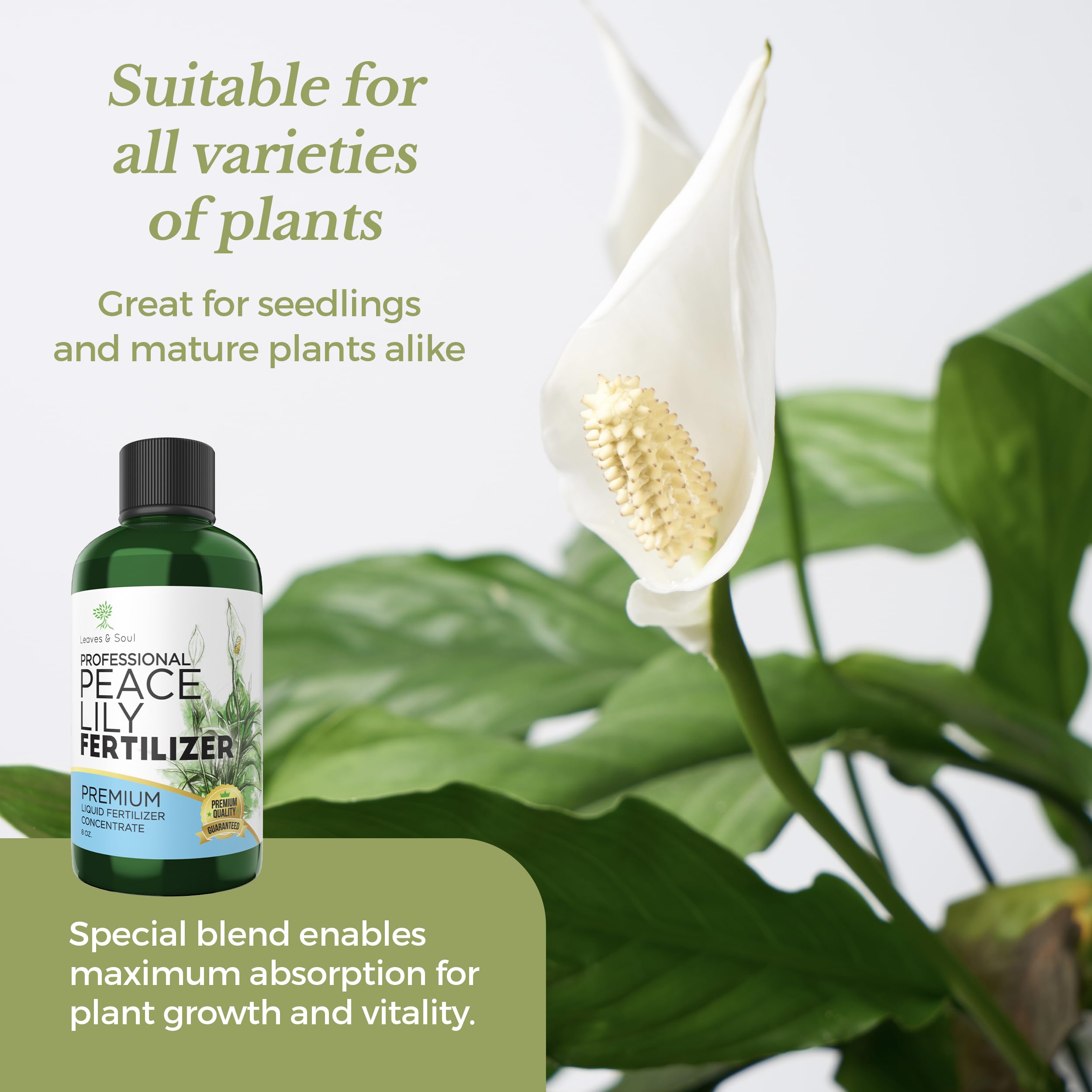 USA-made Leaves and Soul formula in a durable bottle for long shelf life.