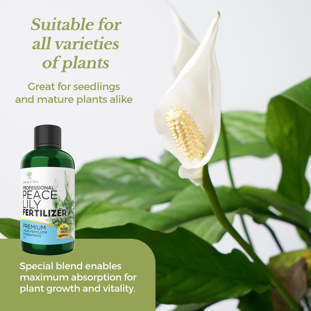 USA-made Leaves and Soul formula in a durable bottle for long shelf life.