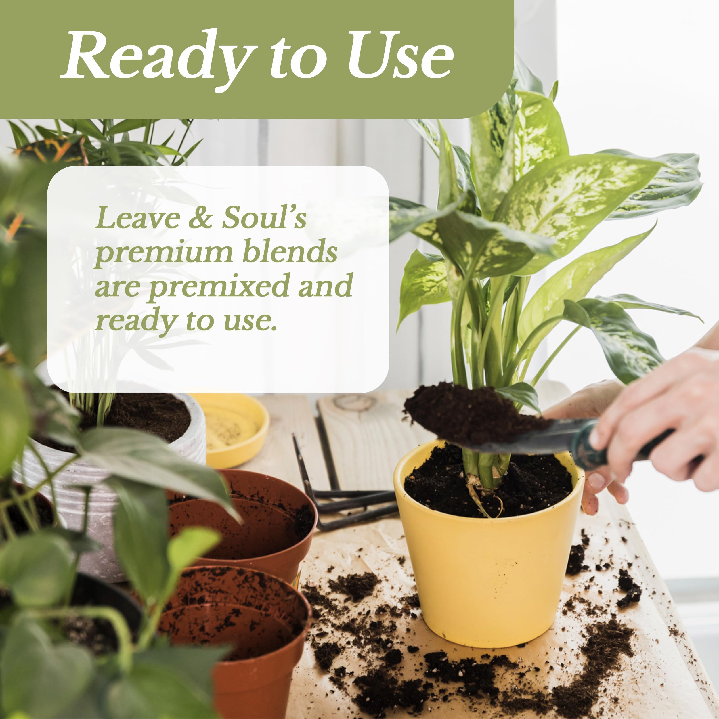 Leaves and Soul soil particle closeup shows premium mix.