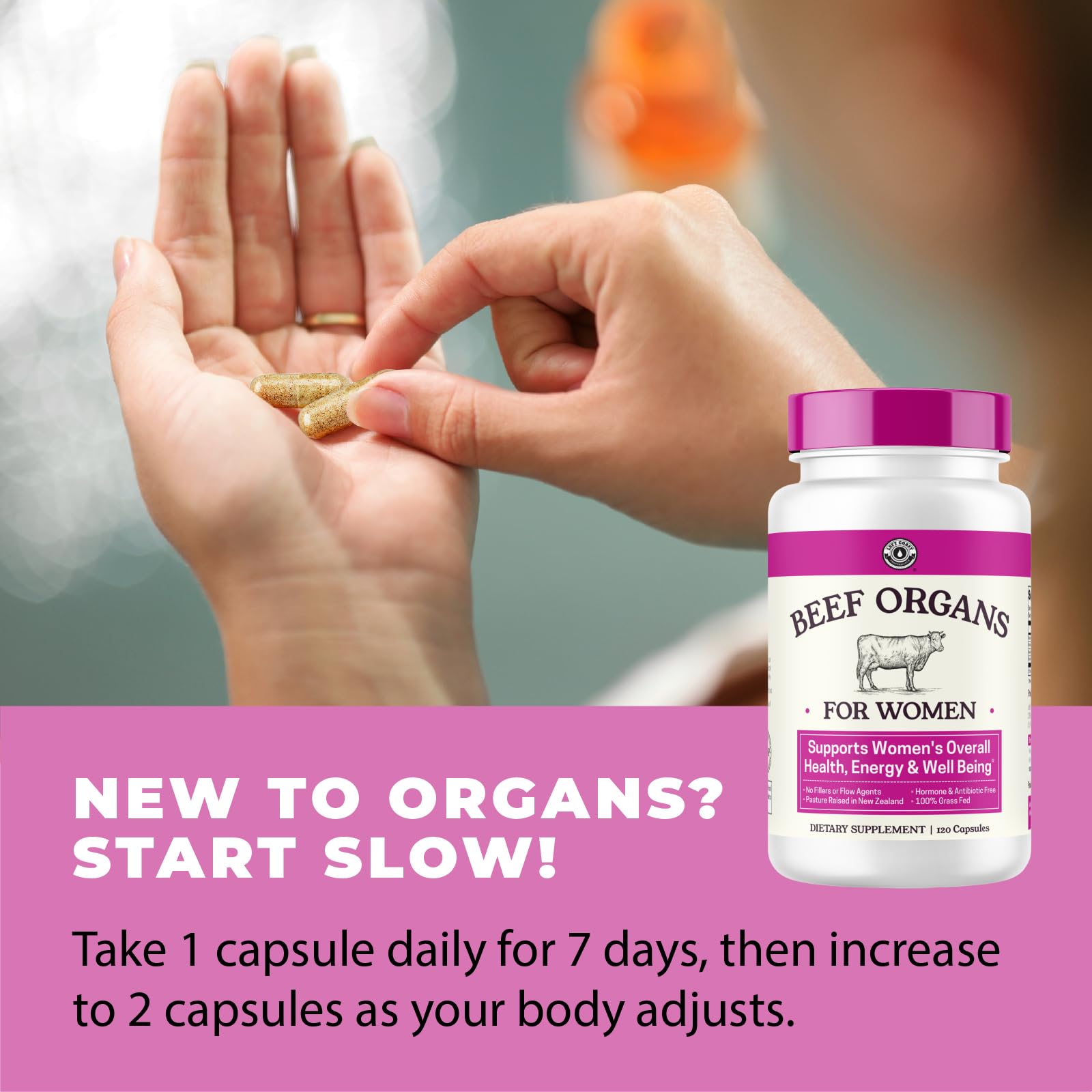 Left Coast Performance Beef Organ Supplement capsules pour demonstrates easy daily dosing and gradual adjustment.