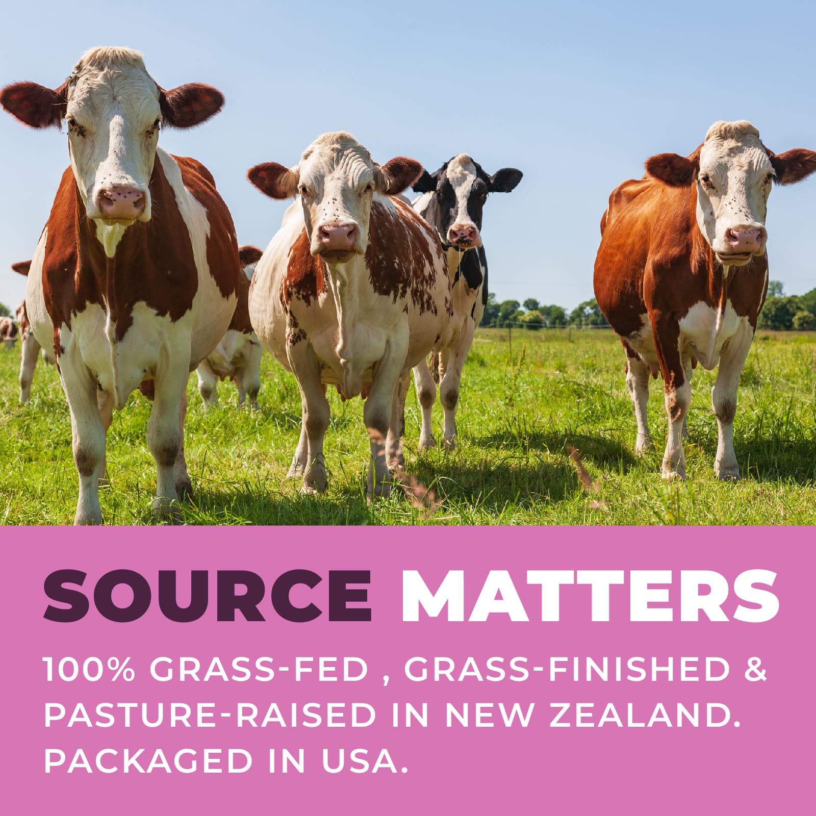 Left Coast Performance Beef Organ Supplement source shows New Zealand pasture-raised beef, grass-fed, no fillers.