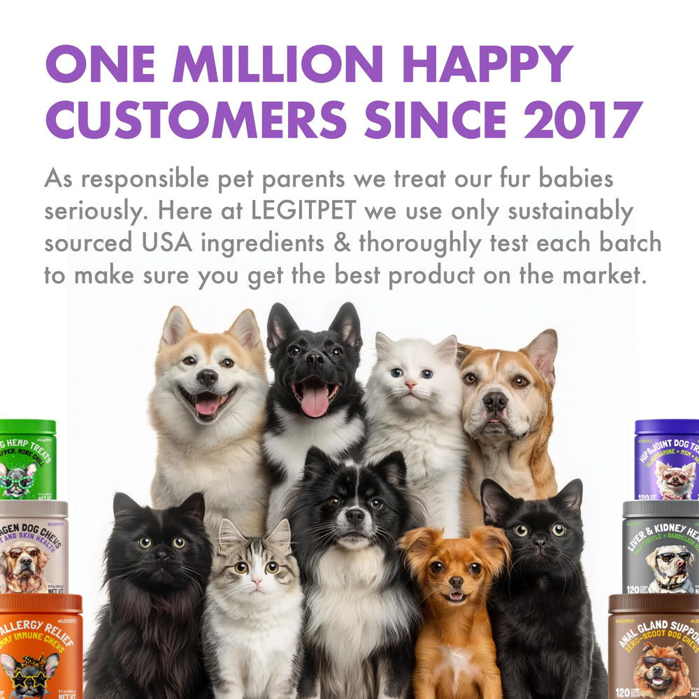 LEGITPET Collagen Dog Chews soft texture favored by dogs.