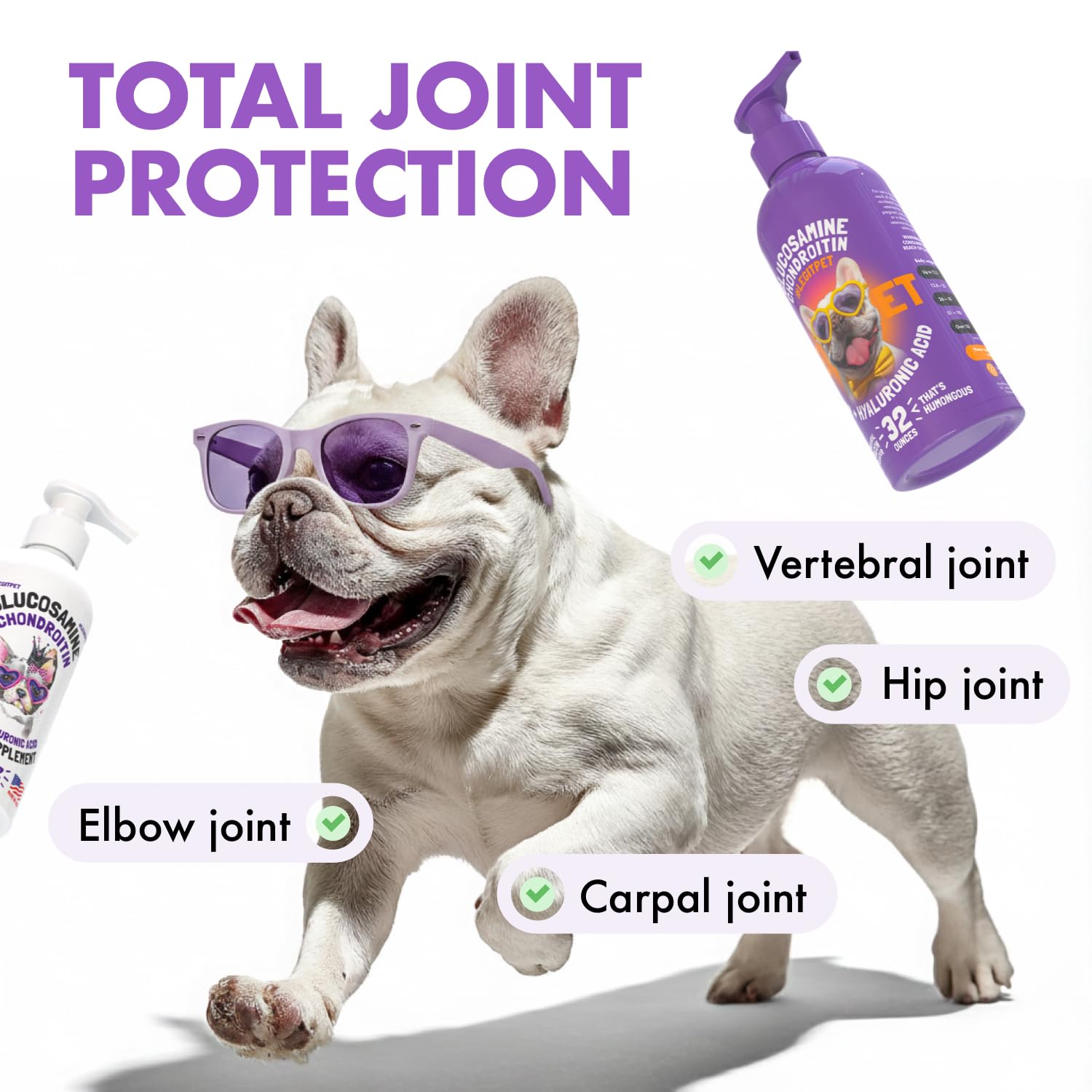 LEGITPET joint-support bottle label showing chondroitin and MSM for mobility.