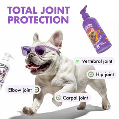 LEGITPET joint-support bottle label showing chondroitin and MSM for mobility.