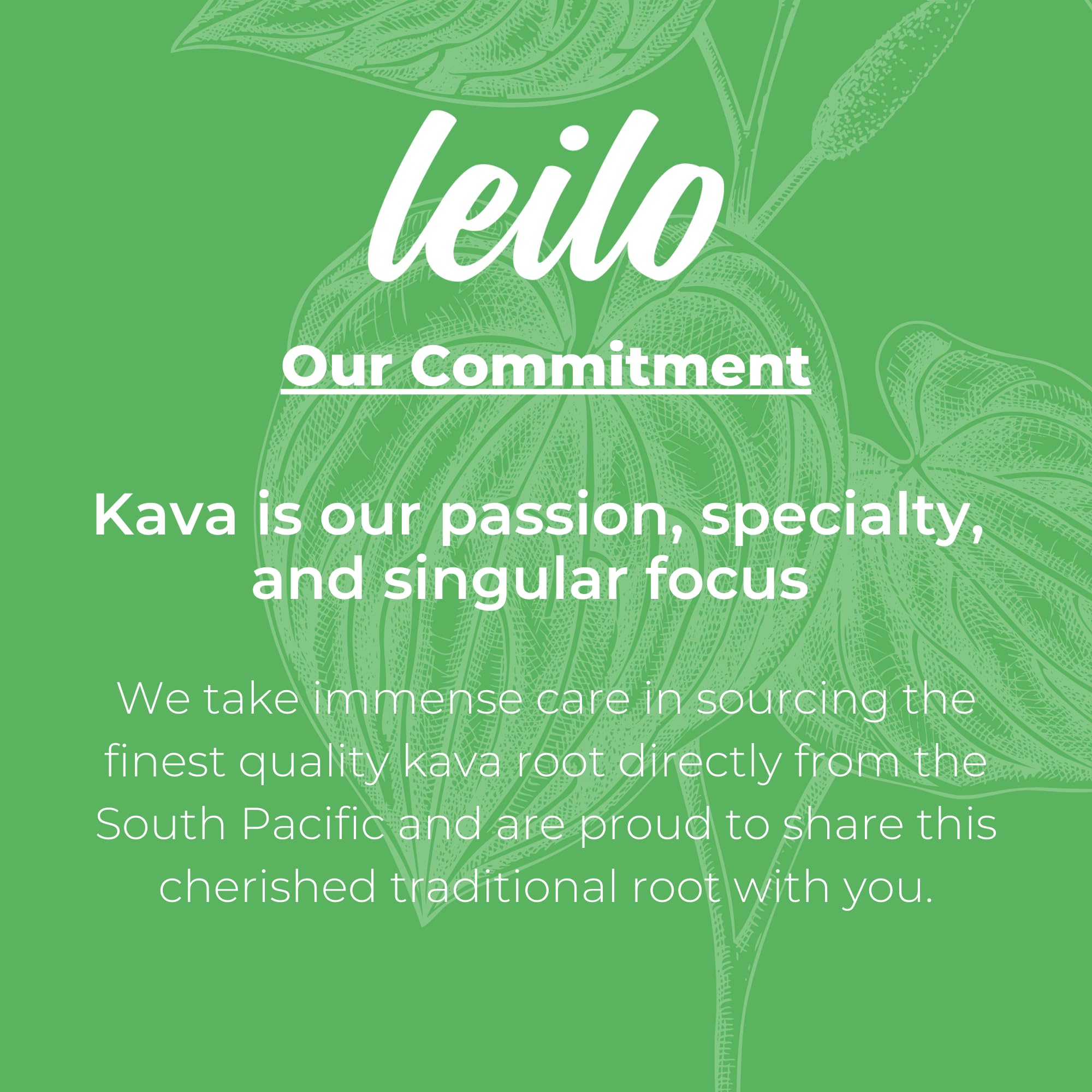 LEILO kava relaxation can conveys a calm mood boost for relaxed gatherings.