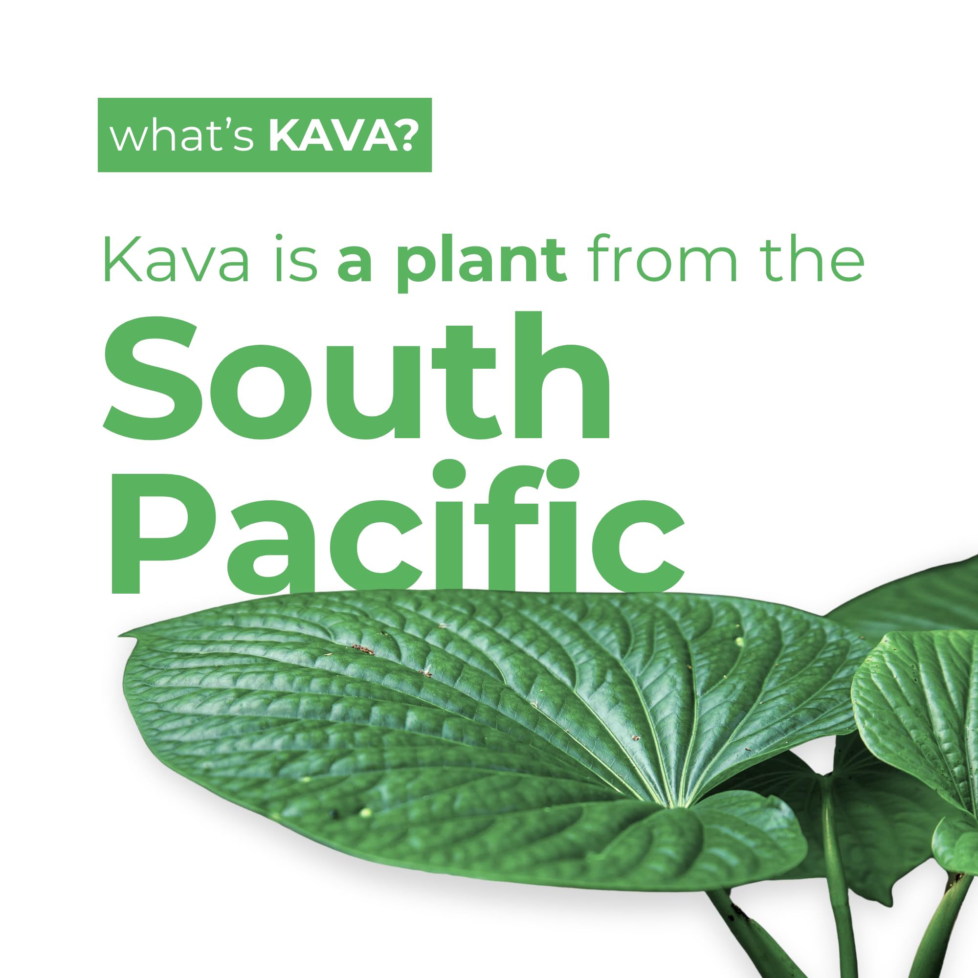 Leilo Kava Blackberry Orange can delivering bold fruit notes with a smooth finish